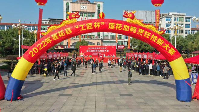 鸭子养殖致富记_致富鸭子养殖记录怎么写_致富经鸭子养殖视频