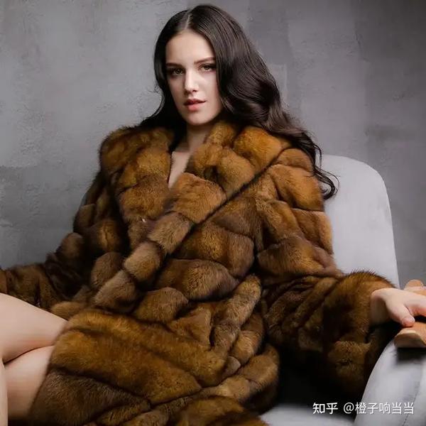 致富经松鼠养殖_松鼠如何养殖致富_致富松鼠养殖方法