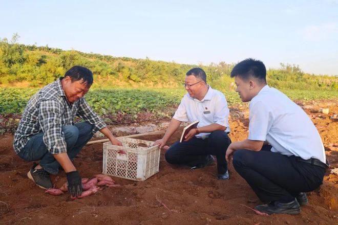 国外种植致富_国外致富项目_国外种植业
