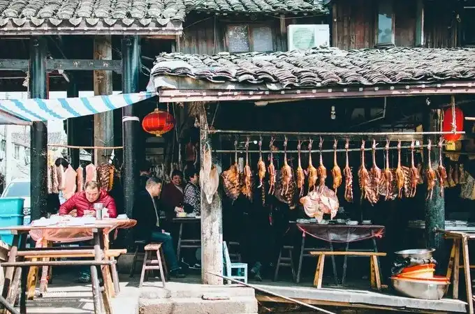 绍兴养殖技术麻鸭招聘_绍兴养殖技术麻鸭基地_绍兴麻鸭养殖技术