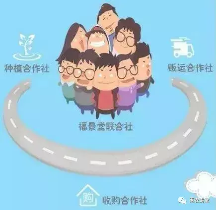 土豆种植视频在线观看_致富经土豆种植视频_种植土豆的视频