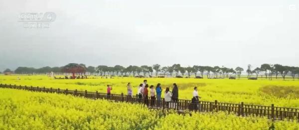 抖音知名旅游博主排行榜_抖音旅游类博主_抖音旅游优质博主经验