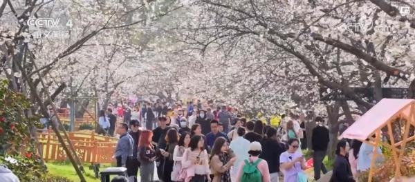 抖音知名旅游博主排行榜_抖音旅游优质博主经验_抖音旅游类博主