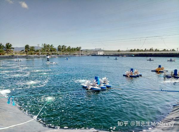 龙虾增氧到底什么方法好_龙虾养殖技术增氧_龙虾养殖需要增氧机吗