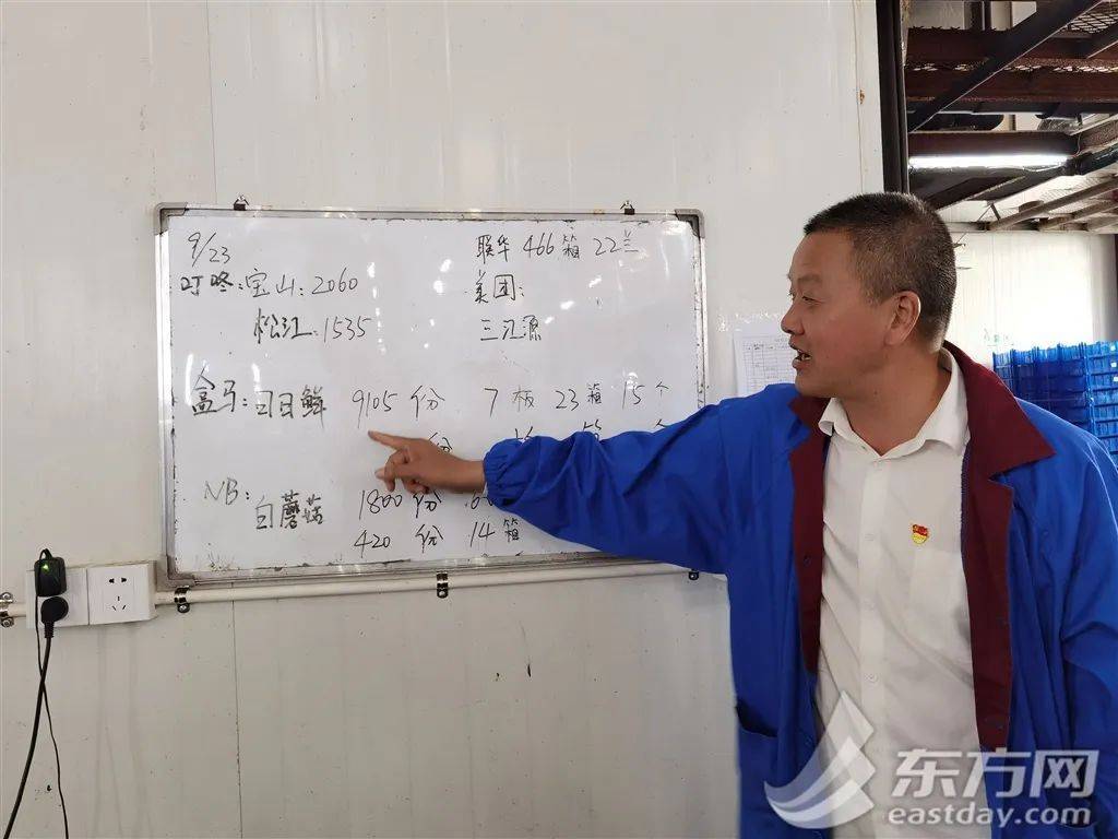 亩产量翻了30多倍 他联农致富把小蘑菇做成大产业