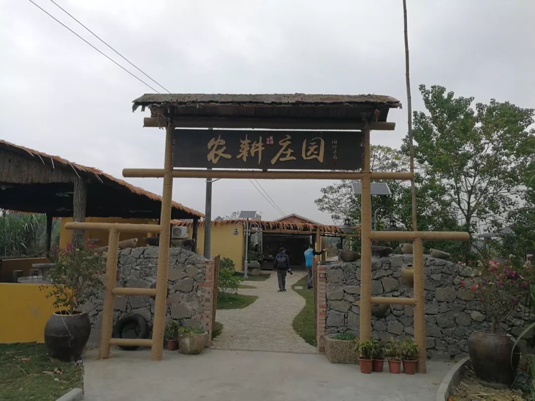 种植致富的文案_致富的文案_鼓励种植致富的用词
