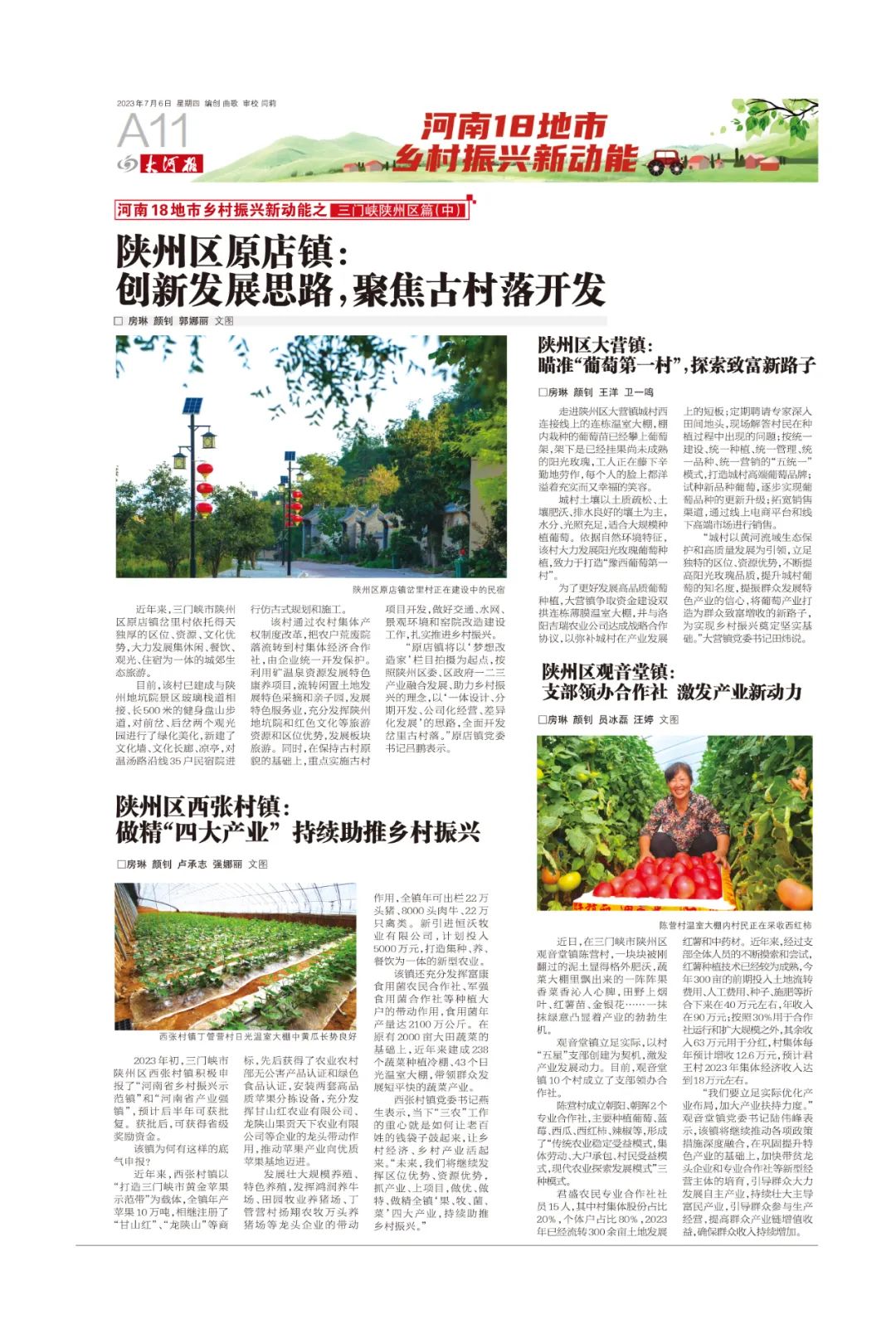湖北香菜价格_湖北香菜什么时间种_湖北种植香菜致富