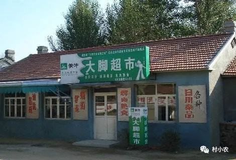 大叶蒲公英种植视频_蒲公英种植大叶技术要求_大叶蒲公英种植技术