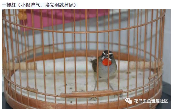 致富养殖好项目大全_文盲养殖致富_养殖致富经