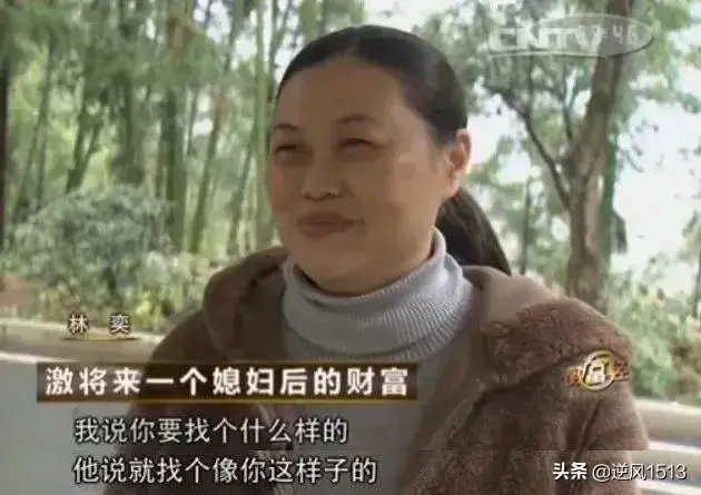 央视7致富经养鸭_致富央视养鸭子视频_致富经养鸭