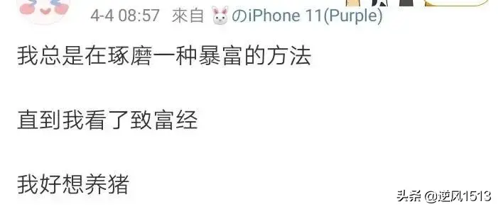 央视7致富经养鸭_致富央视养鸭子视频_致富经养鸭