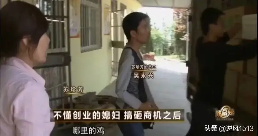 央视7致富经养鸭_致富央视养鸭子视频_致富经养鸭