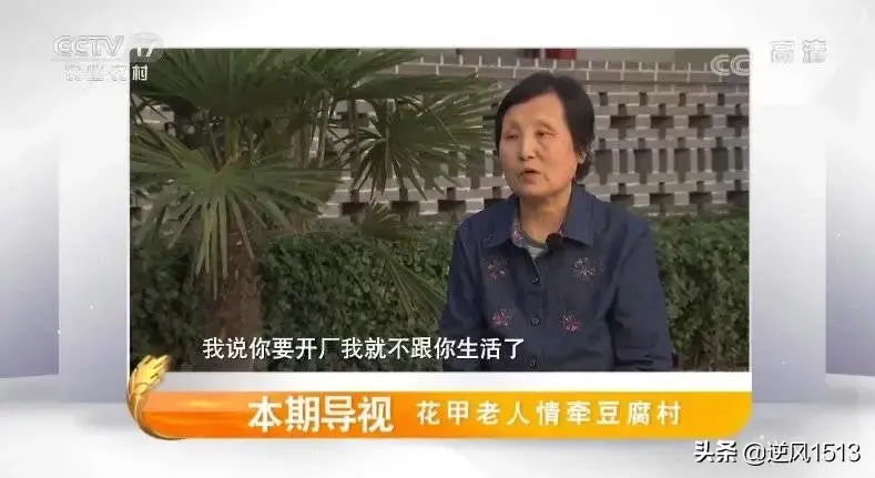 央视7致富经养鸭_致富经养鸭_致富央视养鸭子视频