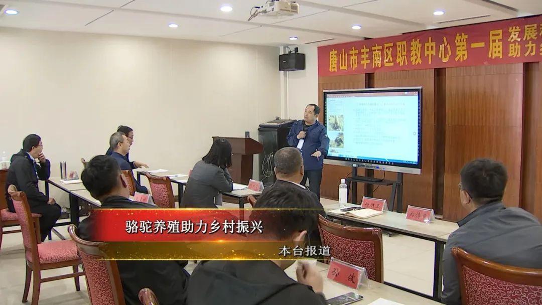 骆驼养殖业_骆驼养殖托起村民致富梦_骆驼养殖户