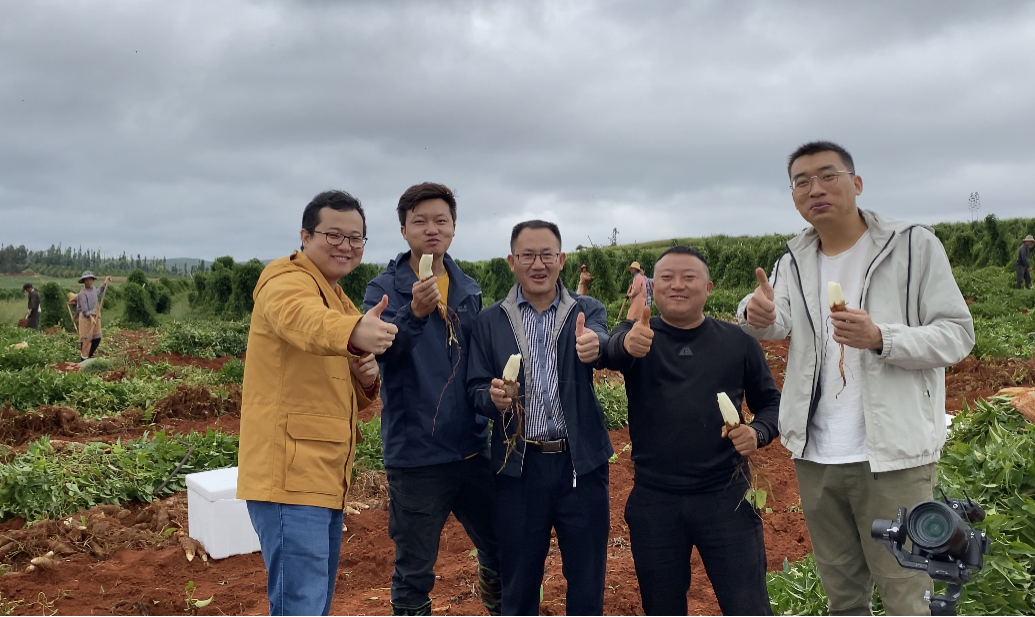 致富山药种植农村视频_致富山药种植农村图片大全_农村种植山药致富