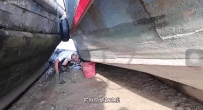 致富经花勃养青蟹_致富经花勃养青蟹_致富经花勃养青蟹