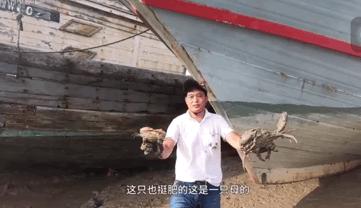 致富经花勃养青蟹_致富经花勃养青蟹_致富经花勃养青蟹
