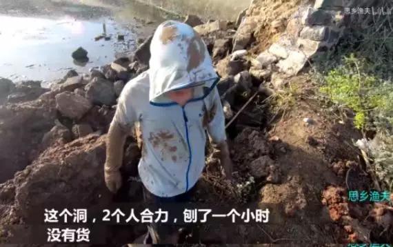 致富经花勃养青蟹_致富经花勃养青蟹_致富经花勃养青蟹