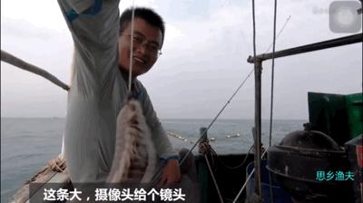 致富经花勃养青蟹_致富经花勃养青蟹_致富经花勃养青蟹