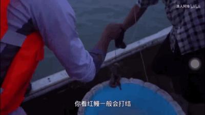 致富经花勃养青蟹_致富经花勃养青蟹_致富经花勃养青蟹