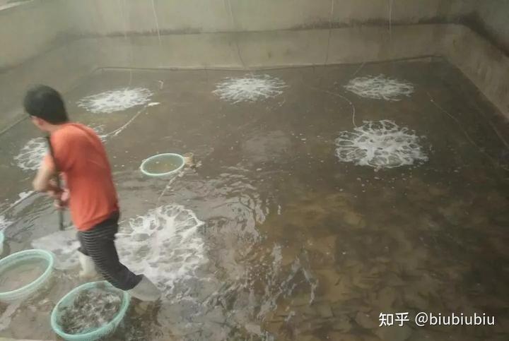 水产养殖过程_养殖水产路线技术研究_水产养殖技术路线