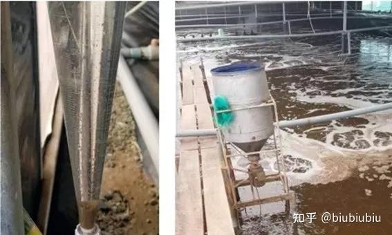 养殖水产路线技术研究_水产养殖技术路线_水产养殖过程