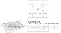致富经大棚无土种植_无土栽培盈利模式_致富经无土栽培