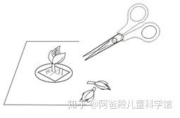 致富经无土栽培_无土栽培盈利模式_致富经大棚无土种植