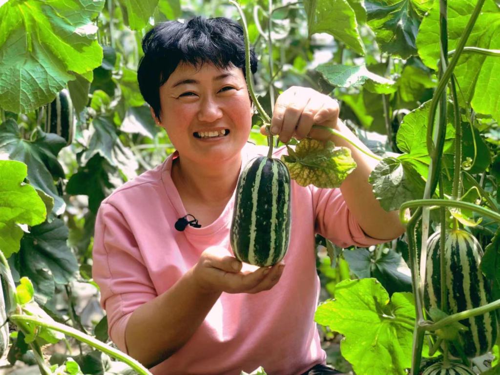 大棚种植什么果树最赚钱_大棚果树种植_大棚种植致富果