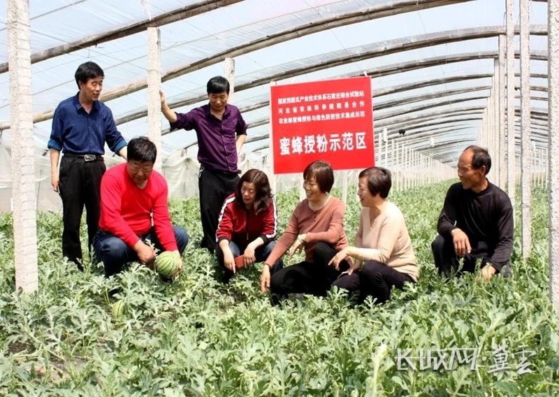 无土栽培有哪些品种_致富经无土栽培品种_无土栽培什么利润大