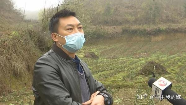 荒山种茶叶需要手续吗_荒山种植致富茶_在自村荒山上种茶树合法吗