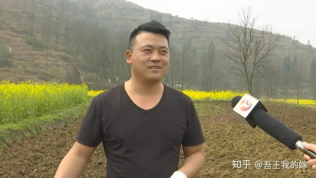 荒山种茶叶需要手续吗_荒山种植致富茶_在自村荒山上种茶树合法吗