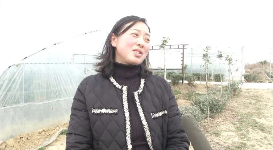 cctv7致富經竹荪_cctv7致富經养鹅故事_cctv7致富经火龙果视频