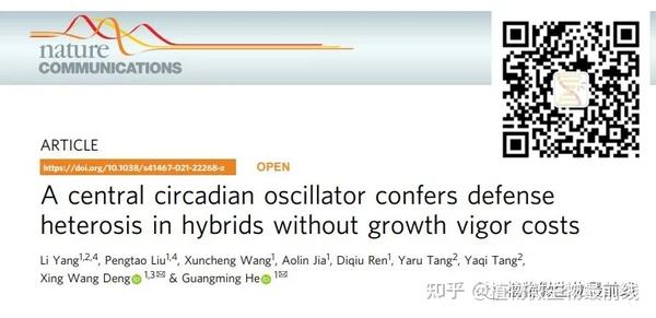 致富经养羊王丽丽视频_致富经 杨丽_致富经杨富民