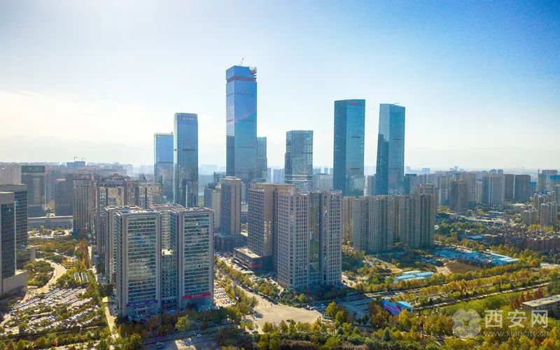 优质营商环境建设经验_优质营商环境_优质高效的营商环境