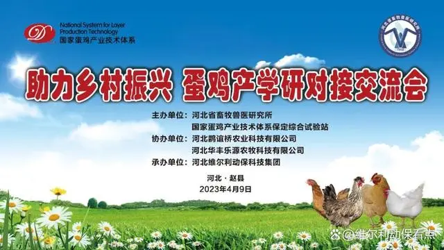 产业赋能｜蛋鸡产学研对接交流会助力乡村振兴