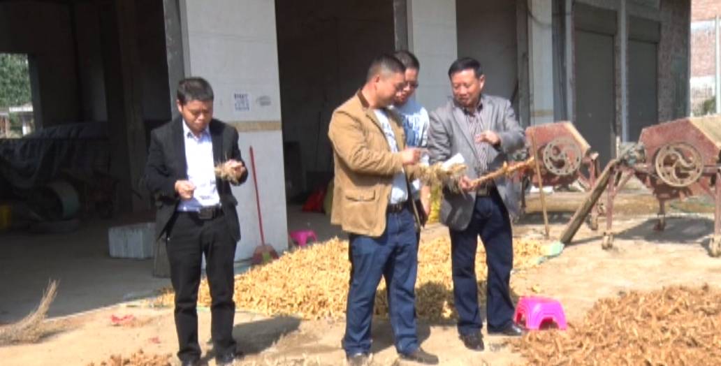 中药材种植致富经_致富中药种植方法视频_中药种植致富方法
