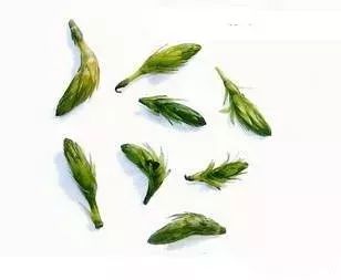 龙虾怎样养殖视频播放_龙虾养殖技术大全视频教程_小龙虾养殖技术视