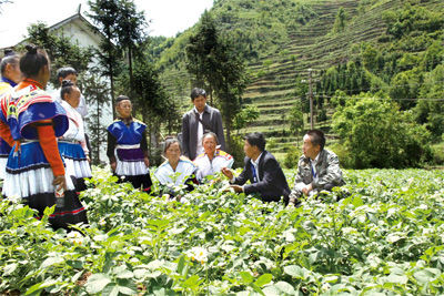 杜仲种植致富经_致富种植杜仲怎么样_种植杜仲前景