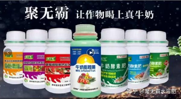 致富经熙棋甜瓜种植视频_致富经熙棋甜瓜种植视频_致富经熙棋甜瓜种植视频