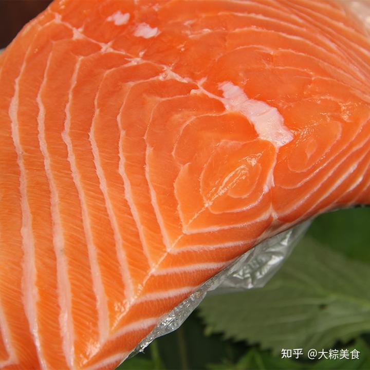 养殖三文鱼技术与管理_三文鱼怎么养殖技术_养殖三文鱼技术视频