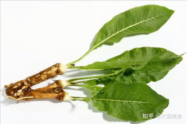 养殖三文鱼技术与管理_三文鱼怎么养殖技术_养殖三文鱼技术视频