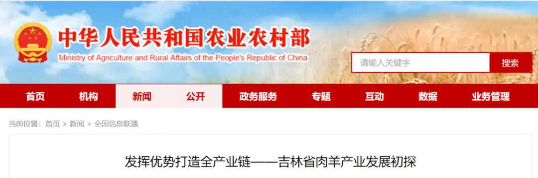 发挥优势打造全产业链——吉林省肉羊产业发展初探