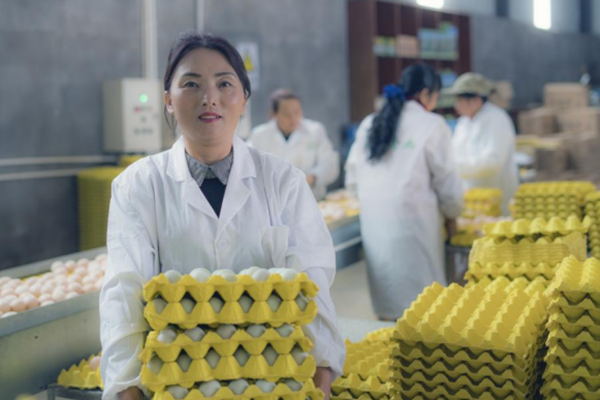 女人养殖致富_致富经美女养牛_致富养殖女人图片
