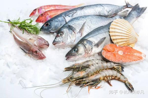 致富经观赏鱼_致富经一鱼多吃_致富经养殖鱼视频
