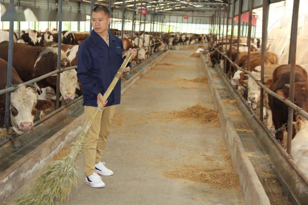 新时代“中国好人”故事丨当好“领头羊”，养起“致富牛”