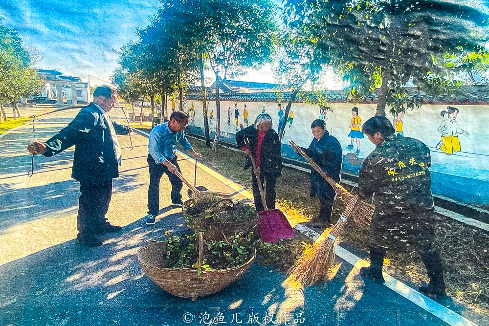 猪雪花肉多少钱一斤_雪花猪肉是什么猪种_致富经雪花猪肉