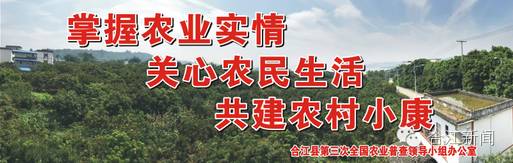 合江养殖致富_养殖致富门路_养殖致富经