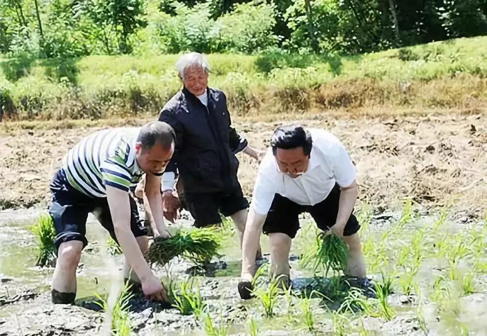 汉中养殖业什么最赚钱农村_汉中养殖致富历程_汉中市养殖技术