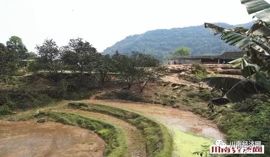 养殖致富网500元投资_合江养殖致富_致富养殖业